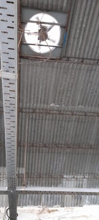 GALPON EN VENTA