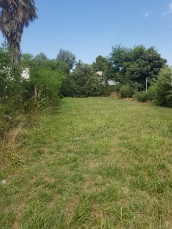 LOTE BARRIO LOS TRONCOS