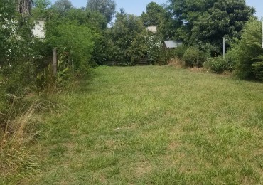 LOTE BARRIO LOS TRONCOS